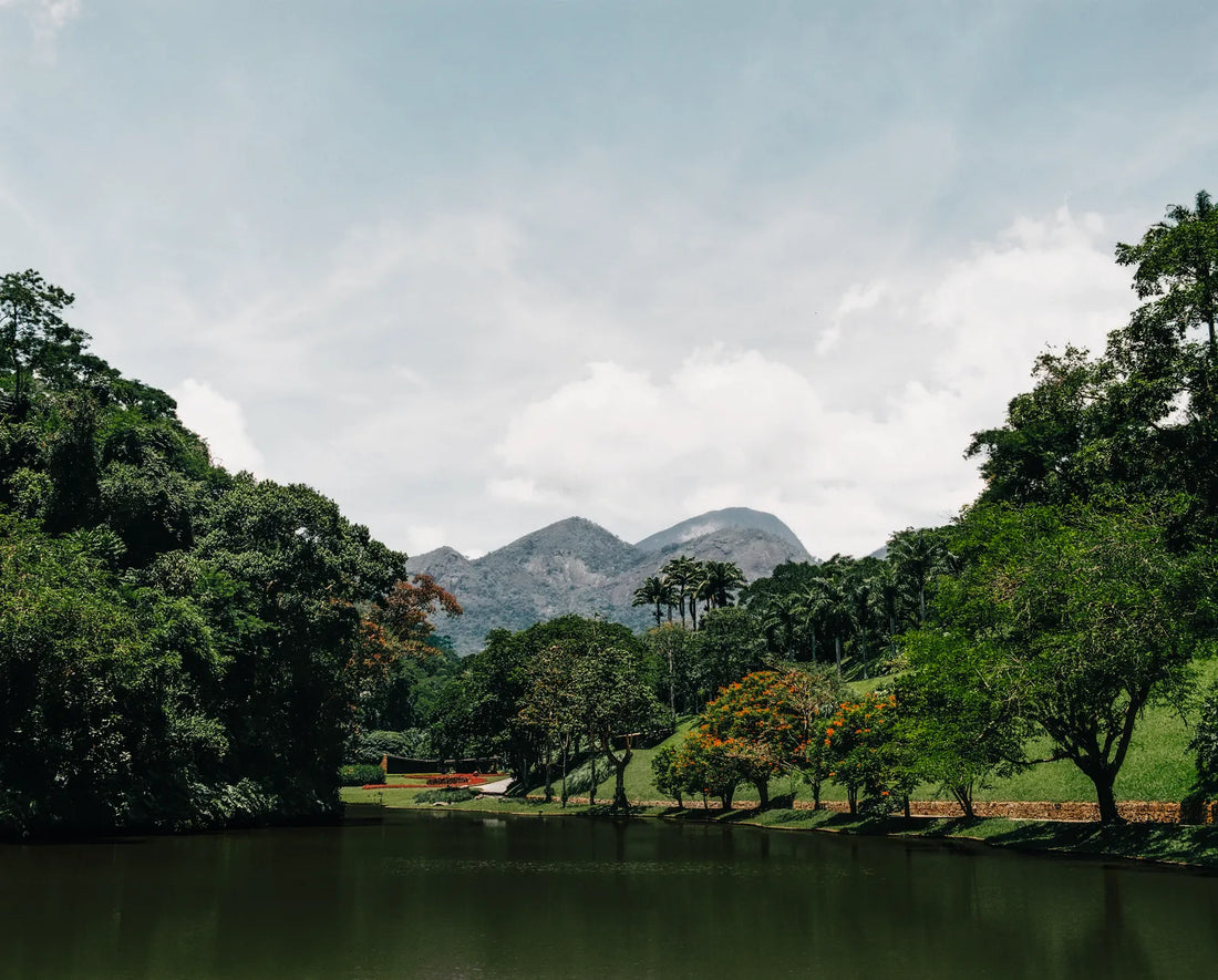 Casa Cavanelas por Burle Marx