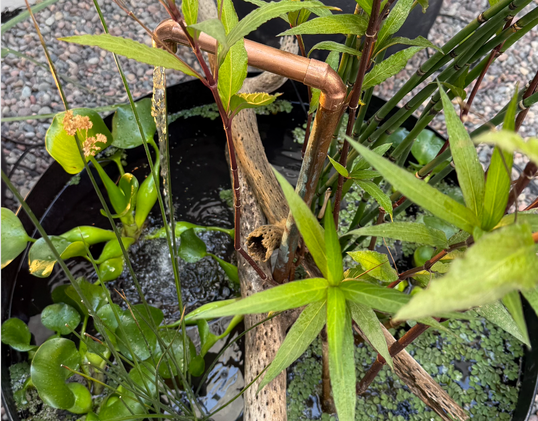 Paisaje de Agua - Claudio Marcone