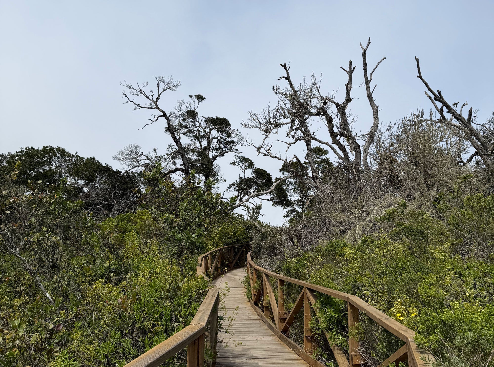 Parque Nacional Bosque Fray Jorge